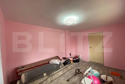 Casa moderna 4 camere, 30 ari teren, 4 anexe la 20 de minute de Bistrita-Mintiu - 9