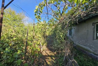 Casă în Conduratu - 1