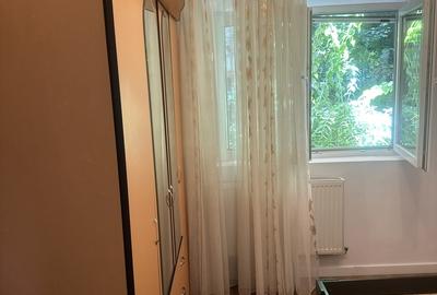 Lacul Tei, langa Facultatea de Constructii - 6