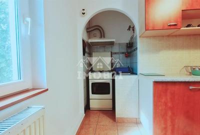 Inchiriere apartament 3 camere Ienachita Vacarescu - 14