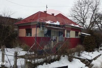 Casă cu 2 camere în Bădești - 3