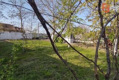 COMISION 0% Casa individuala 5 camere Checea - Gospodarie si teren 1789 mp - 4