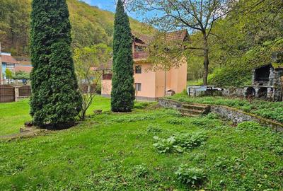 Casă cu Teren 1000 Mp în Central