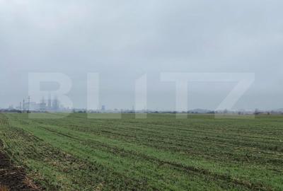 Teren de 41000 mp, în Ișalnița - 4