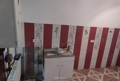 Apartament cu 2 camere în Badea Cârțan - 3
