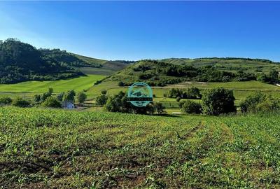 Vand teren intravilan in Sanisor cu suprafata de 4946 mp - 1