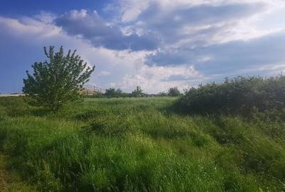 Teren intravilan 5 hectare comasat Bocsa 6 euro mp negociabil - 11