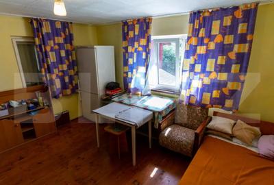 Casă cu 3 camere cu Teren 4000 Mp în Rovina (Brănișca) - 7