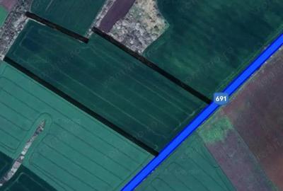 Teren de 106400 mp, în Pișchia - 1