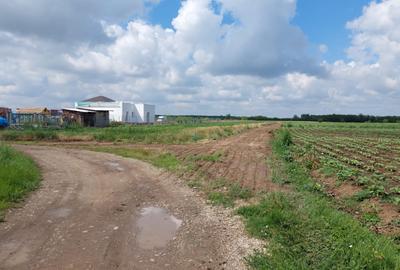 Teren constructii Corbeanca - 1