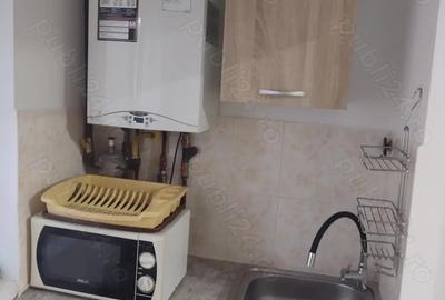 Ion Ionescu de la Brad - 5