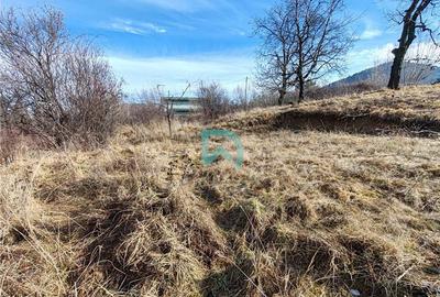 Teren intravilan de 850 mp, în Baciu - 8