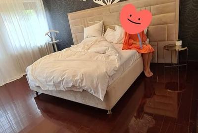 Casă cu Teren 800 Mp în Berceni - 4