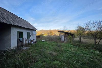 Casa de vanzare in loc Tisa, jud. Hunedoara doar 37 de min de Deva. - 11