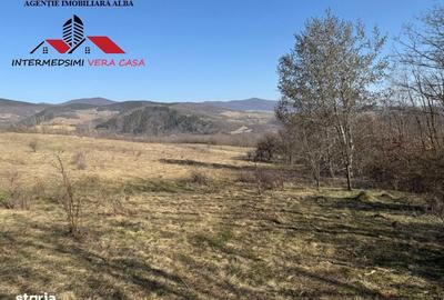 Spațiu comercial, în Pârău lui Mihai - 1