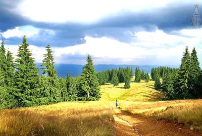 Teren intravilan 24000 mp potential imens - Izvoru Muresului, Harghita - 4