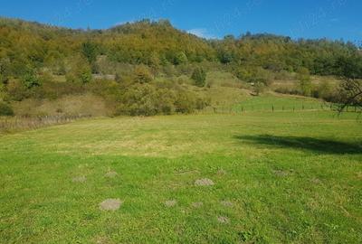 Teren de 4500 mp, în Ciucea - 8