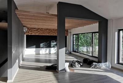 Spatiu  Stefan Cel Mare S P 1 supr 215 mp - 1