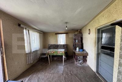 2 case renovabile, teren 1397 mp, front 29 ml, Brestei - 7