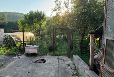 Casa de vanzare!!! - 6