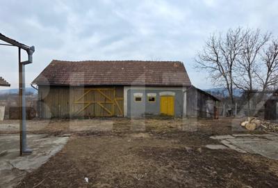 Doua case de vanzare, curte comuna, 4 camer 110mp, 50 ari - 17