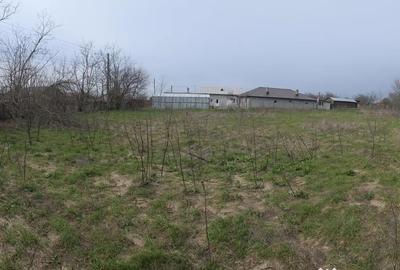 Teren de 5000 mp, în Curcani - 7