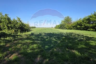 Teren Construcții intravilan de 9458 mp, în Cornești - 1