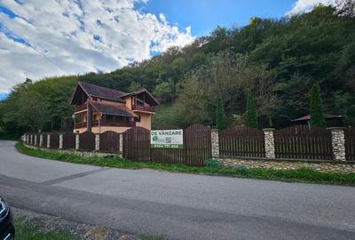 Vila Vetel zona Valea Caoi - 3