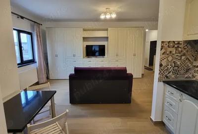 Inchiriez garsoniera open-space, Bragadiru Ilfov - 3