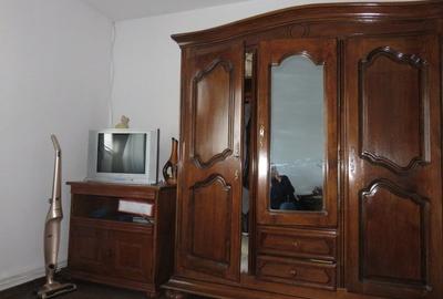 Proprietate Sannicoara, teren 1000 mp! - 20