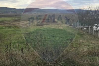 Teren intravilan si extravilan 8,282mp oras Negresti, judetul Vaslui - 8