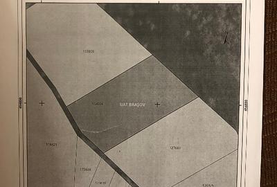 Teren agricol extravilan de 4900 mp, în 13 Decembrie - 1