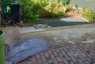De vanzare apartament pe doua niveluri cu curte proprie - 9