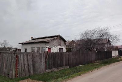 Casă cu Teren 3000 Mp în Mircea Vodă - 10