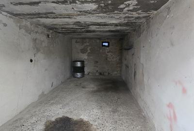 Garaj de inchiriat B-dul Take Ionescu ! - 2