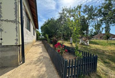 Reco casa in Balnaca - 10