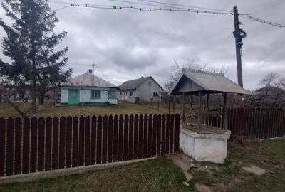 Casă cu Teren 3976 Mp în Dumbrăvița - 3