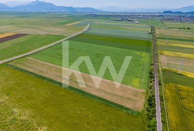 Teren de vanzare I 8 Euro/ mp I Deschidere la drum - Harman Teren de vanzare I 8 Euro/ mp I Deschidere la drum - Harman - 13