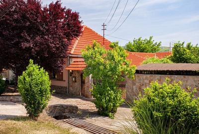 Casa cu 2 corpuri, piscina si 3.235 mp teren in Ghioroc - 37