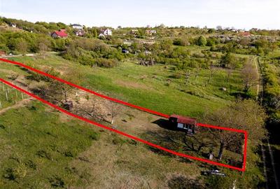 Teren intravilan de 1129 mp, în Săldăbagiu de Munte - 3