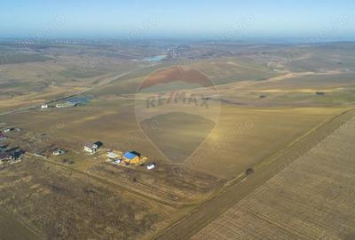 Teren de 600 mp, în Vânători - 3