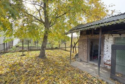 Casa 3 camere, Teren 518 mp Str. Florilor nr.5, Carei -Comision 0% cumparator Casa 3 camere, Teren 518 mp Str. Florilor nr.5, Carei -Comision 0% cumparator - 10