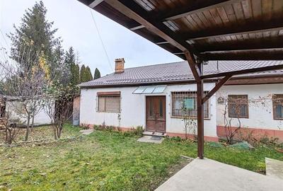 Casa , singur in curte la intrarea in ZIZIN - 11