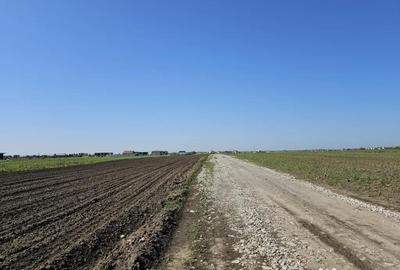 Teren de 317 mp, în Berceni - 4