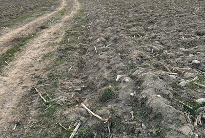 Spațiu comercial, în Orlat - 4