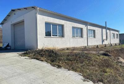 Spațiu comercial, de 982 mp, în Tăuții-Măgherăuș - 9