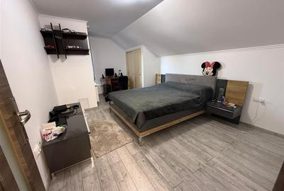 Casa individuala 5 camere 2 bai zona Terezian - 7