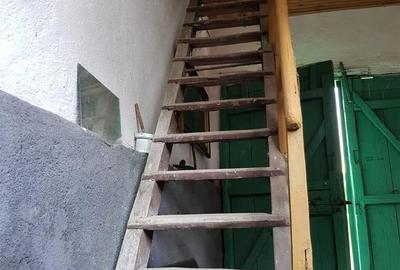 Casă cu 2 camere în Fârliug - 4