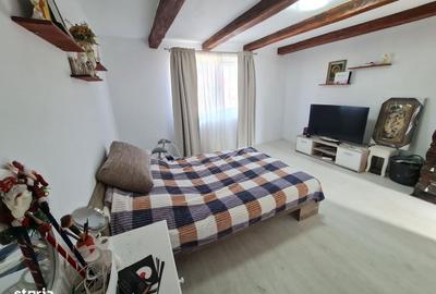 Casă cu 2 camere decomandat în Răpsig - 13