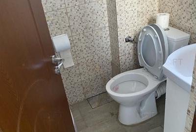 Casă individuală cu 4 camere cu Canalizare în P-ța Alba Iulia - 33